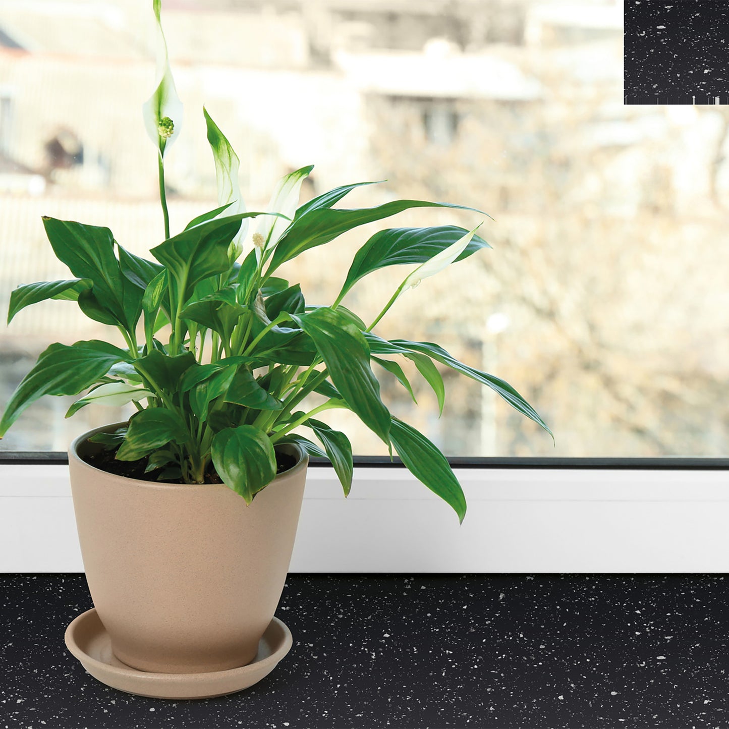 d-c-fix Granite Gloss Black Marble Sticky Back Furniture & Kitchen Wrap