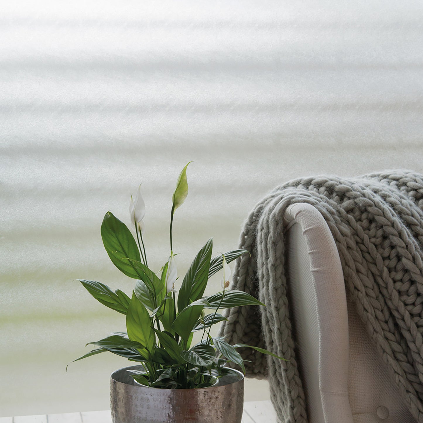 d-c-fix Sofelto Premium Static Window Privacy Film